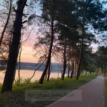 Apartament Lesny No 63 Nad Zalewem Z Kominkiem , Garaz W Cenie Kielce Exterior photo